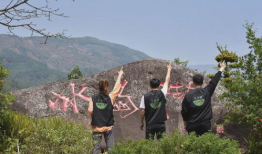 冰岛老寨91号茶直播,探寻神秘古树茶的传奇魅力