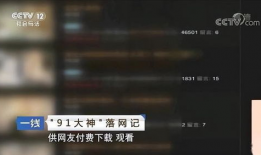 91 c仔直播,揭秘网红背后的真实生活